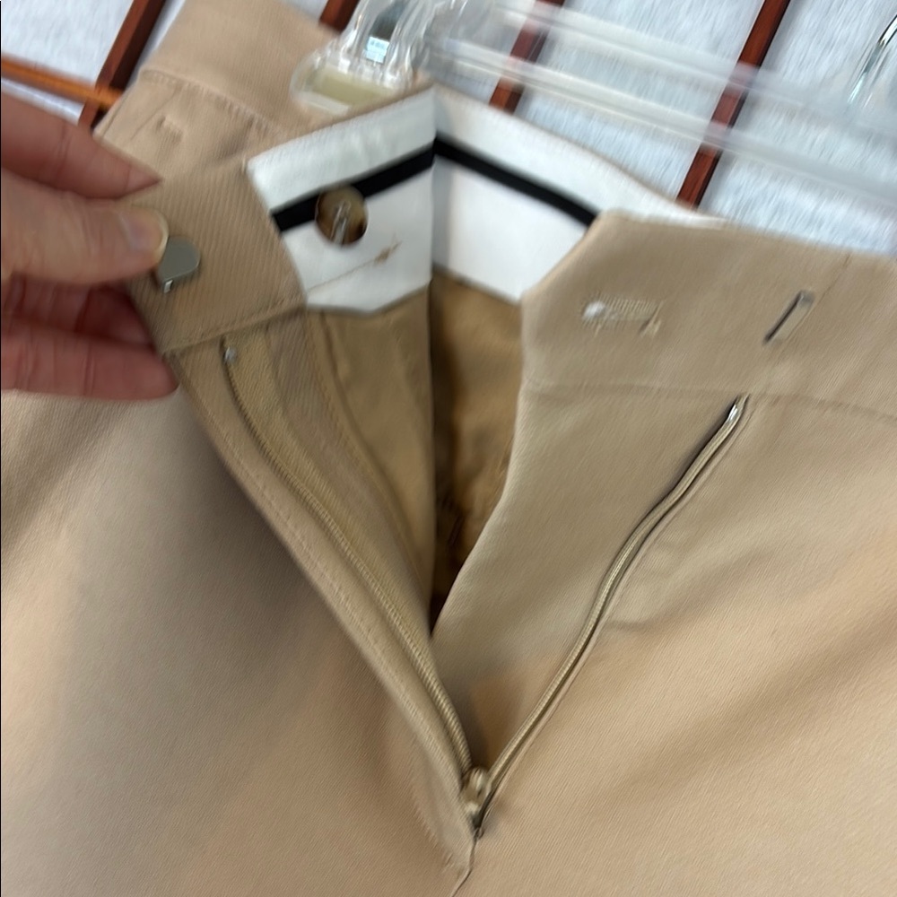 Ann Taylor Beige Curvy Ankle Pants - Picture 3 of 4